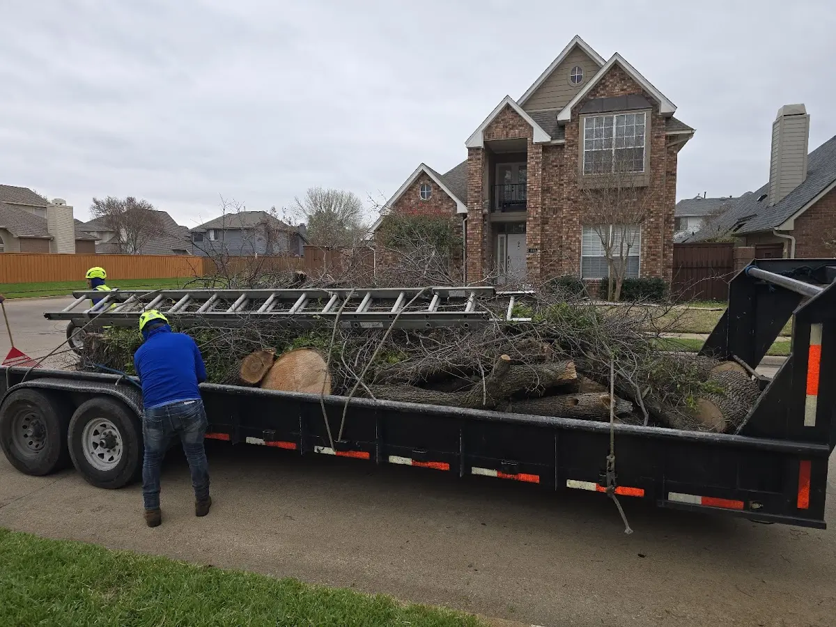 Expert Tree Fertilization with proper safety equipment in Kirkersville